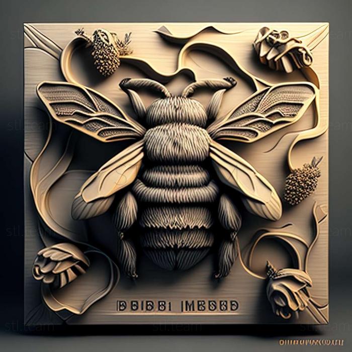 3D модель Bombus pomorum (STL)